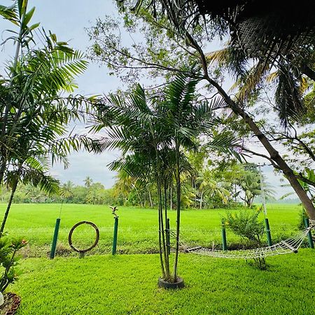 The Green View Yala Tissamaharama Exterior foto